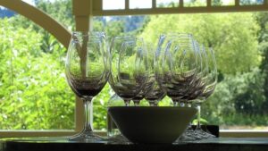 vinos ecologicos